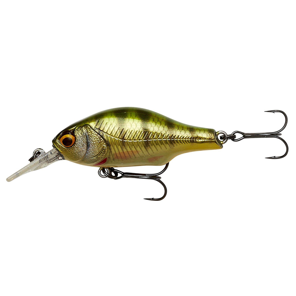 Perch