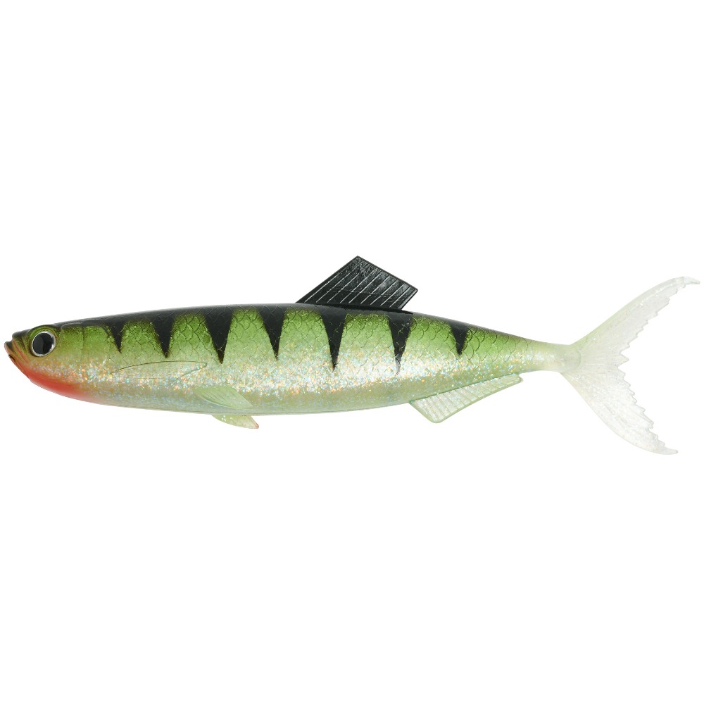 Baby Perch