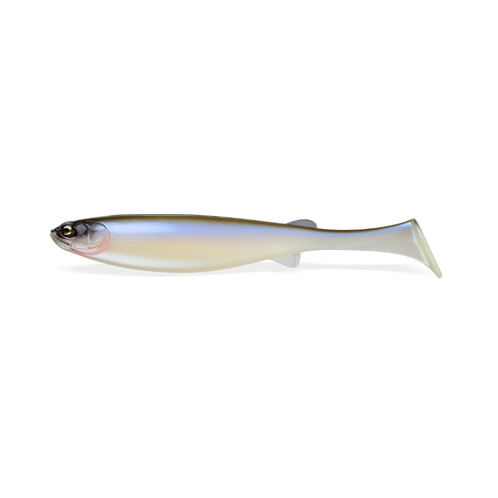Gizzard Shad