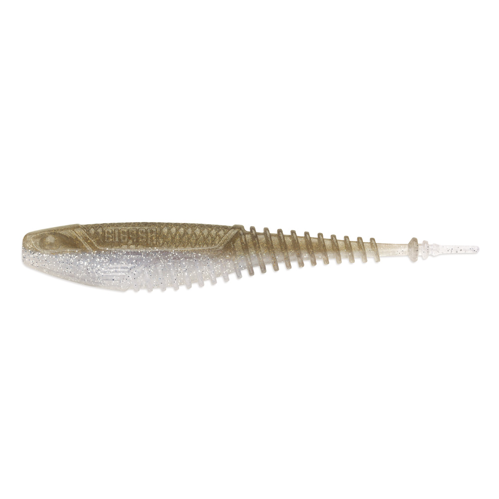 Tennessee Shad