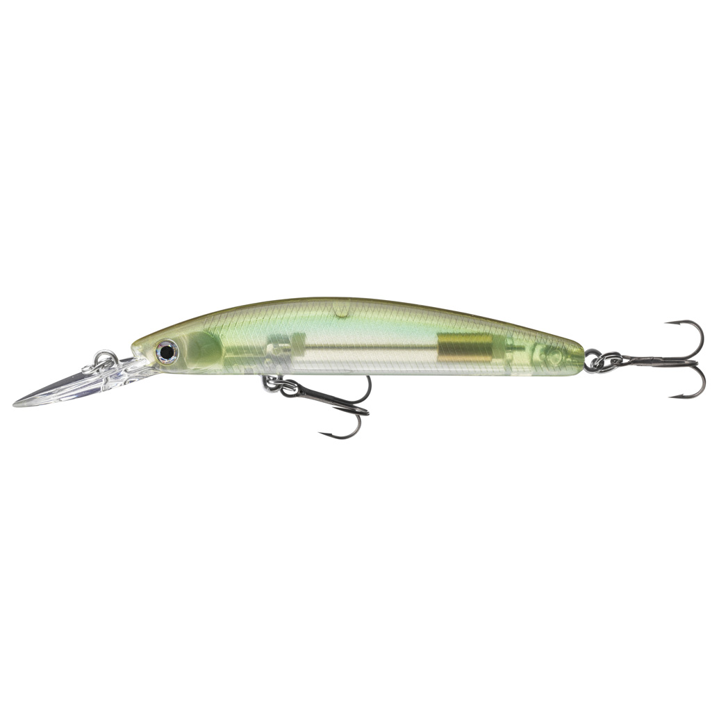 See Through Shad