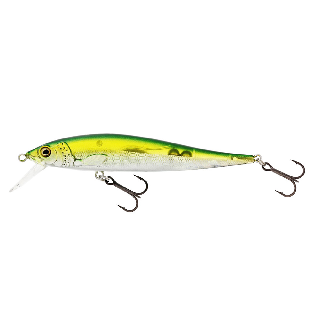 Olive Minnow