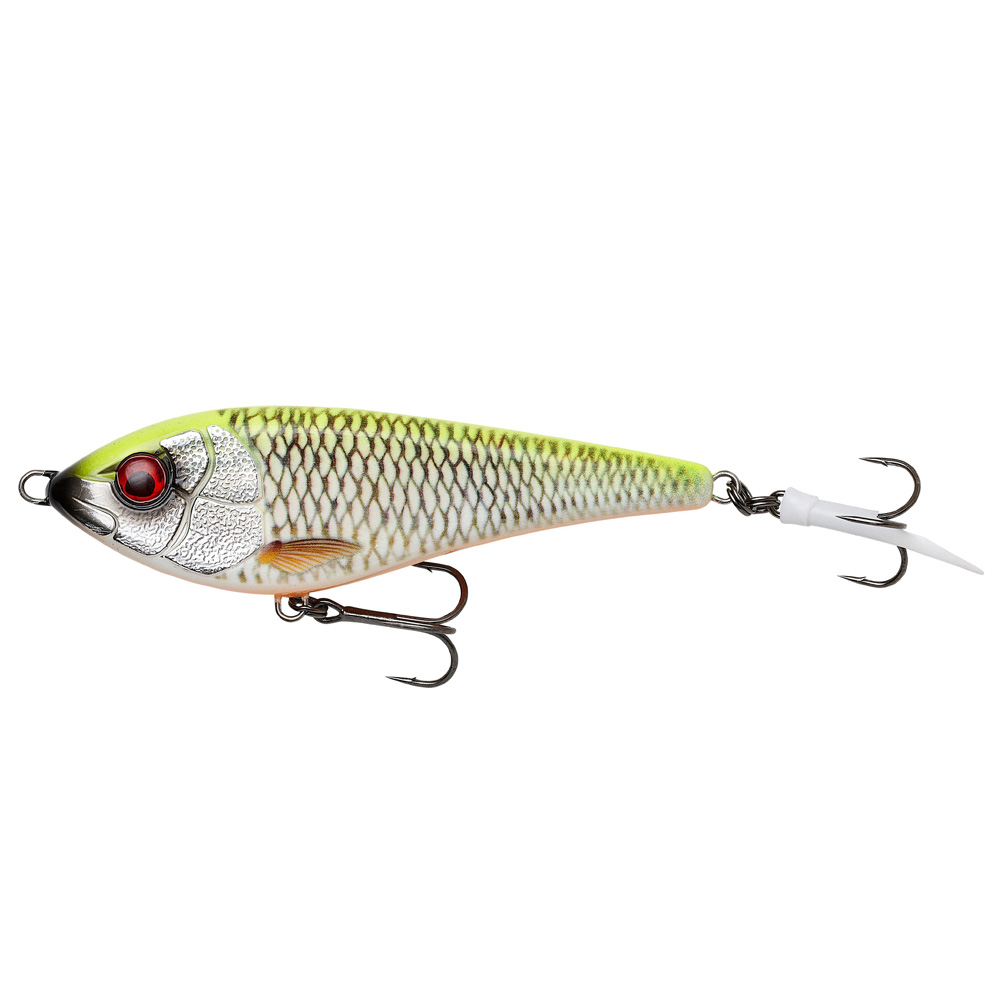 Lemon Roach