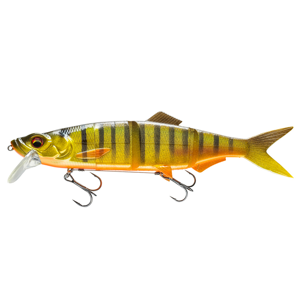 Golden Shiner