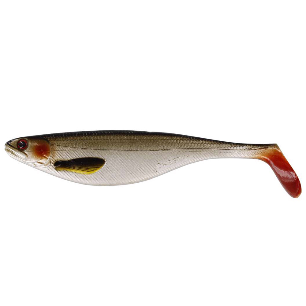 Lively Roach