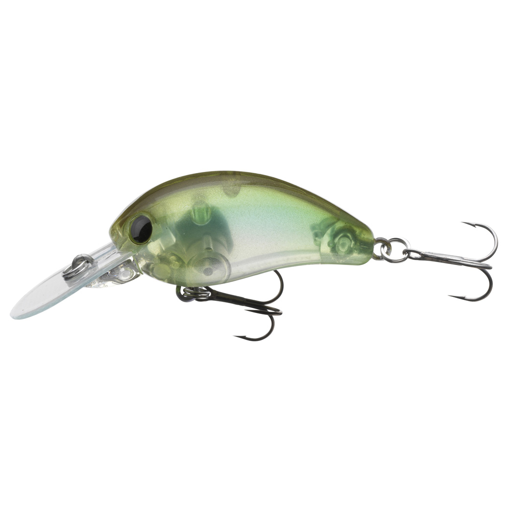 See Through Shad