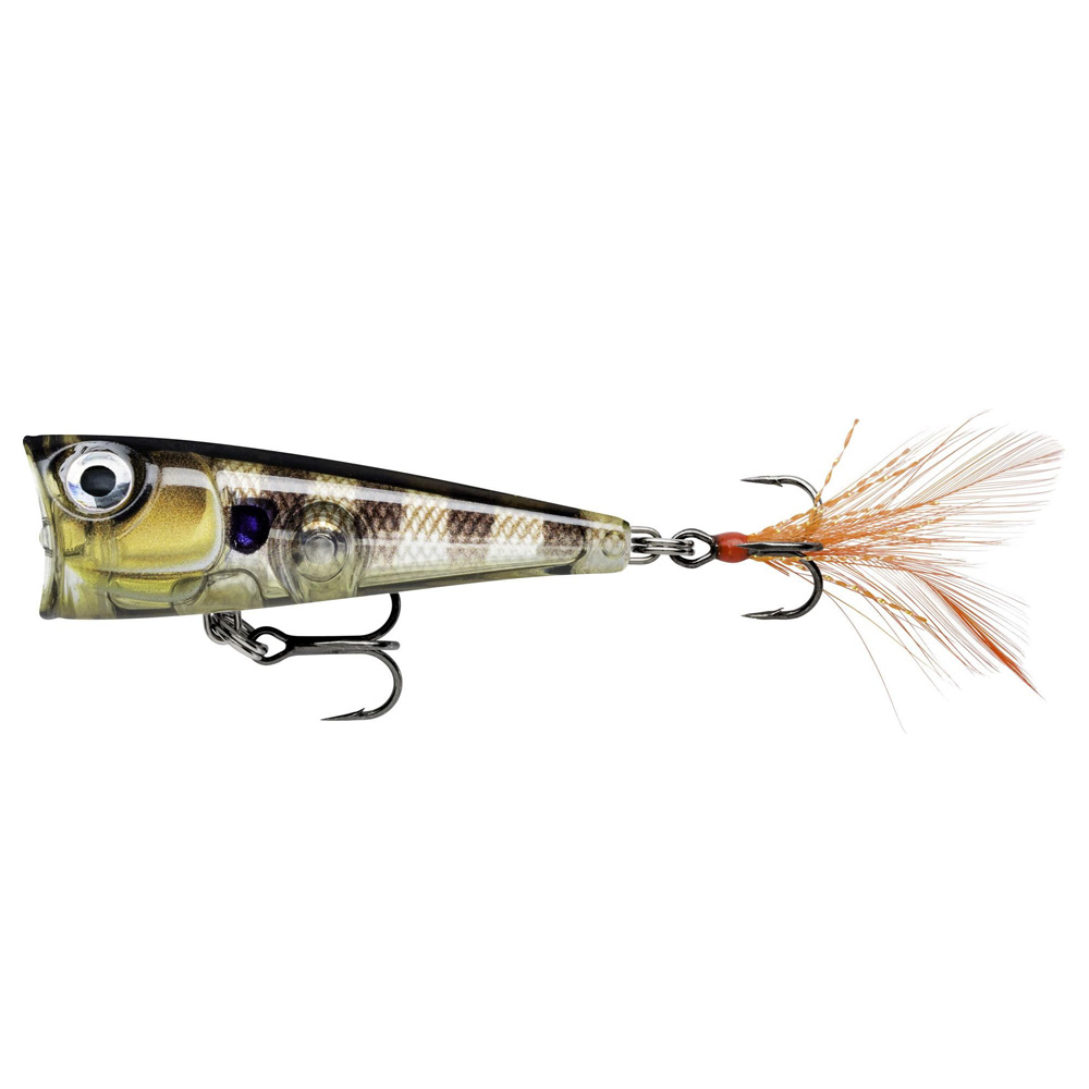 Glassy Gill UV