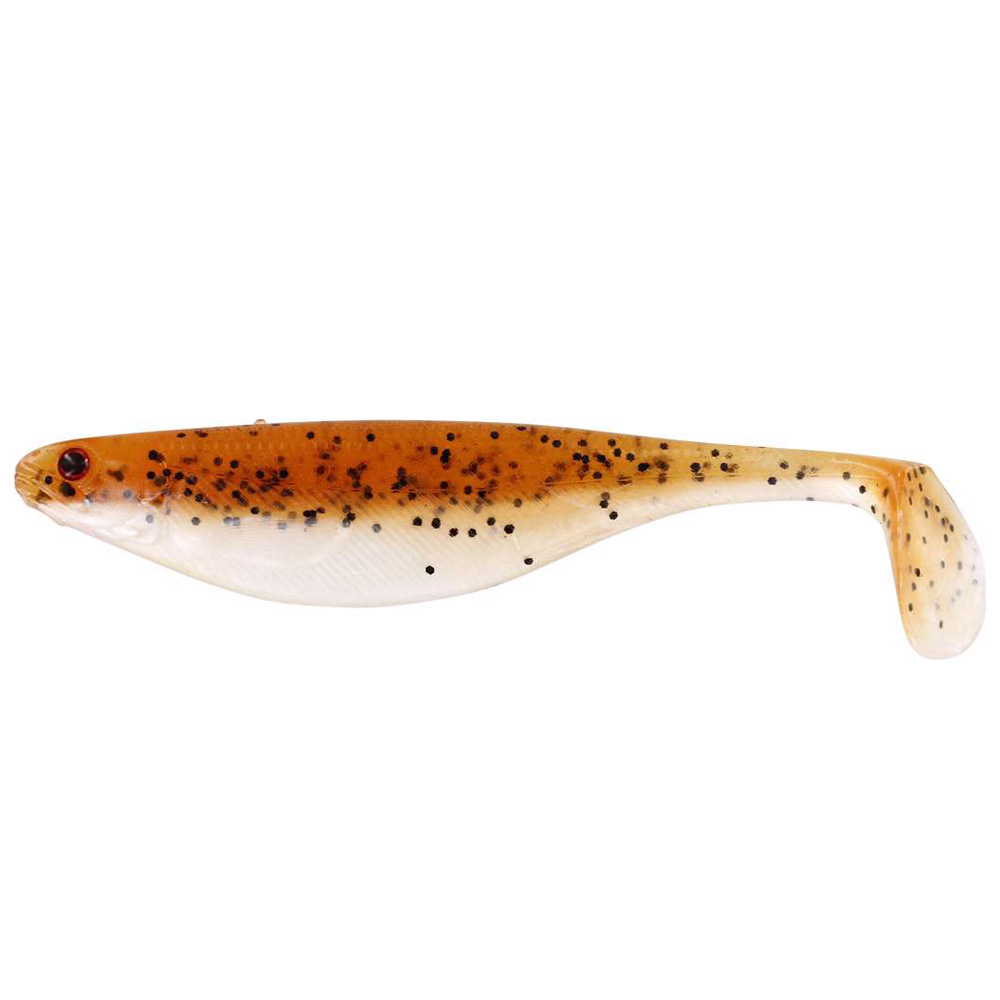 Baitfish