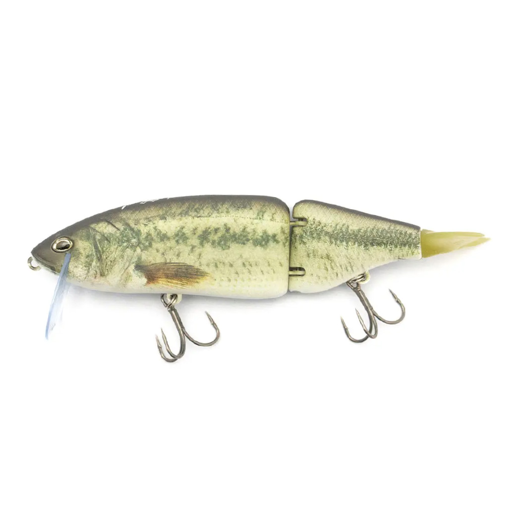 DRT Bass