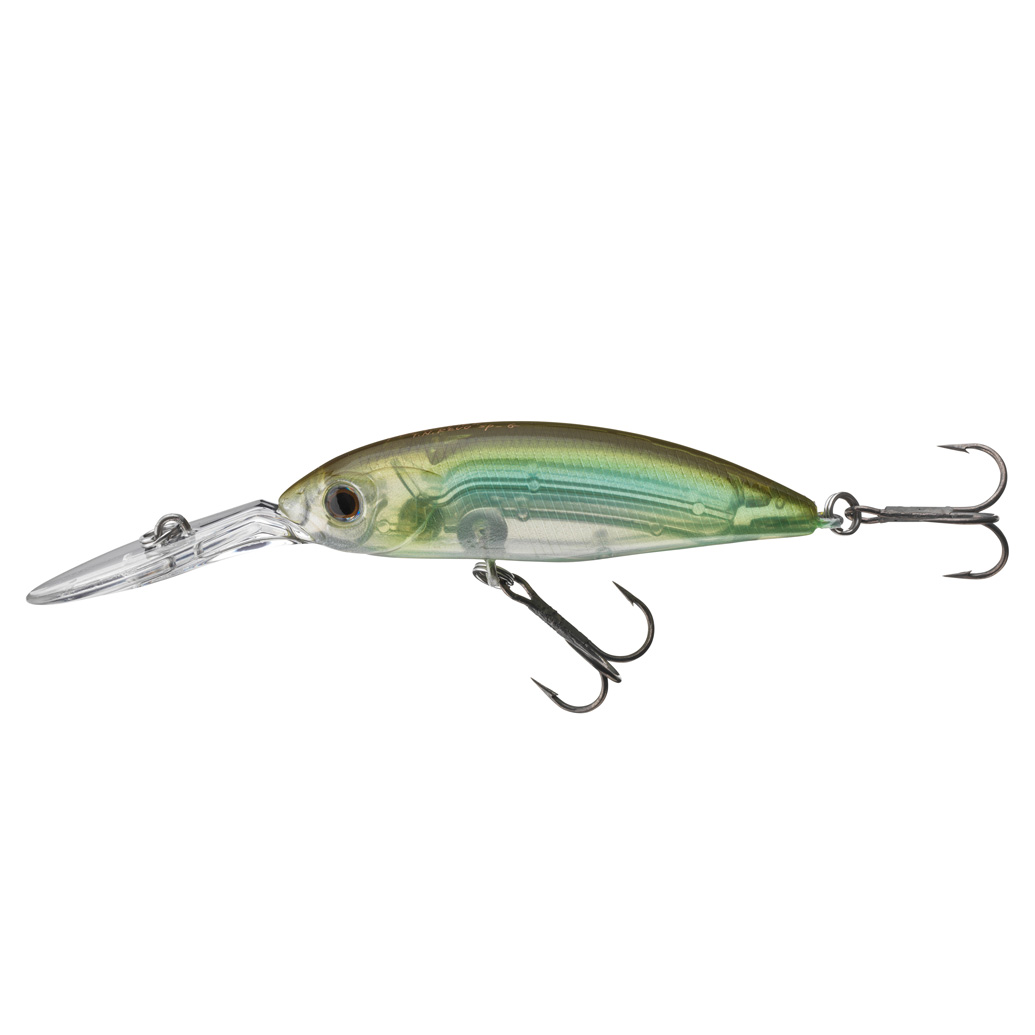 See Through Shad