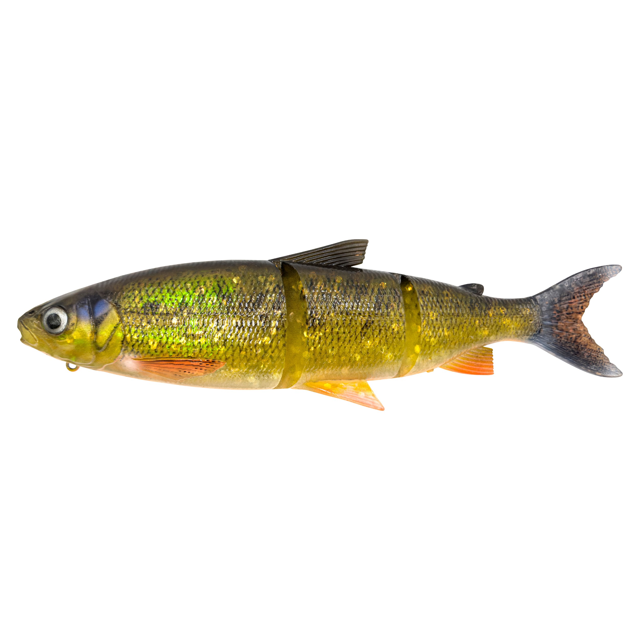 Dirty Whitefish