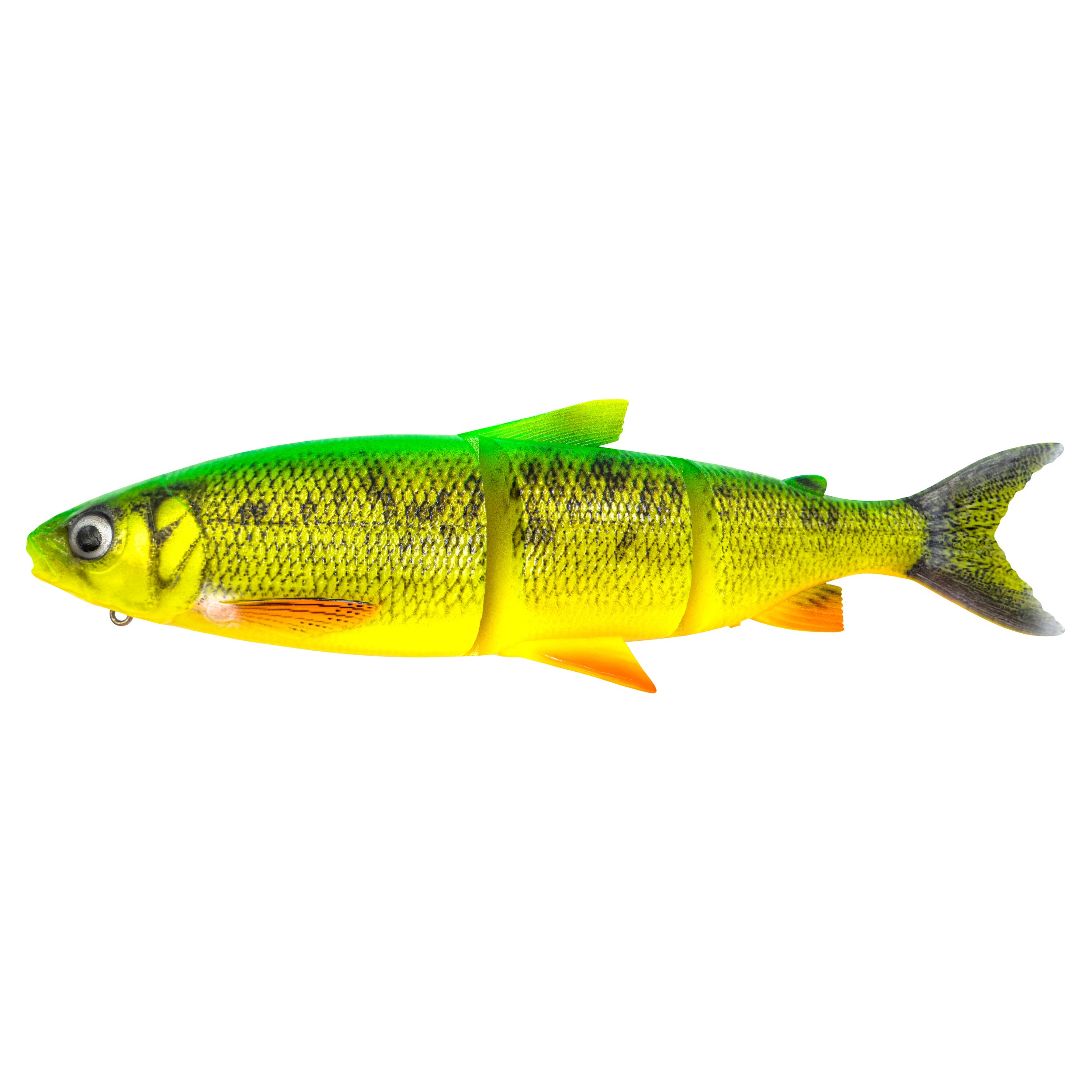 Fire Whitefish