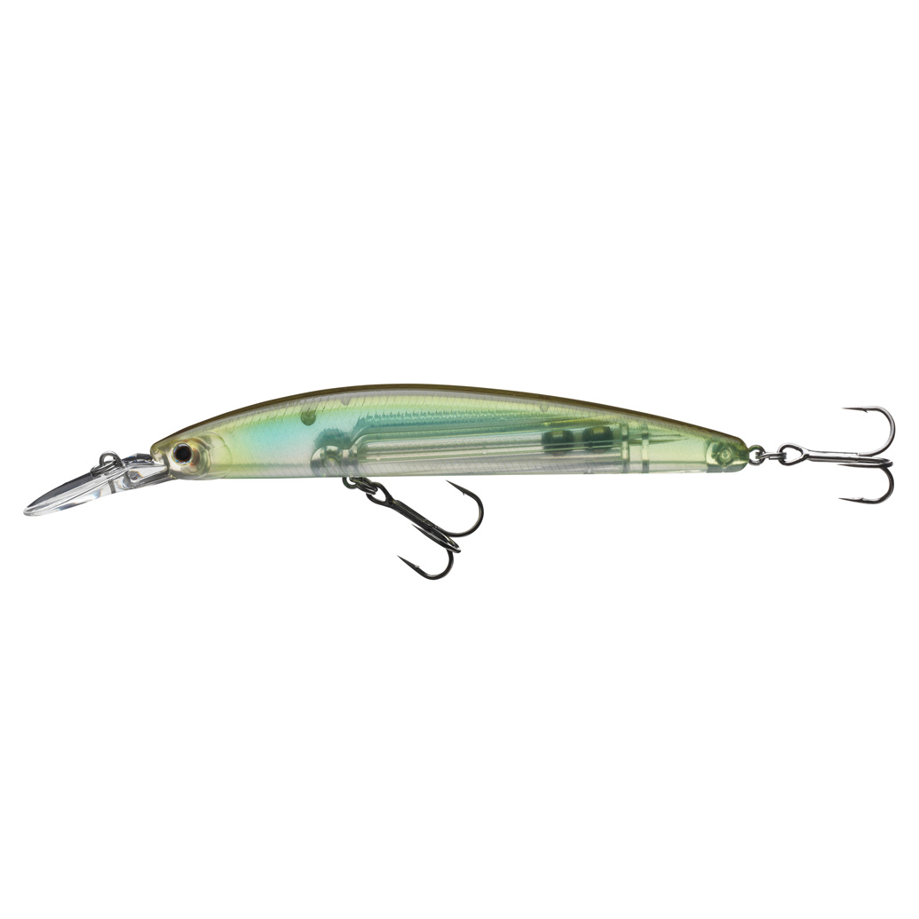 See Through Shad