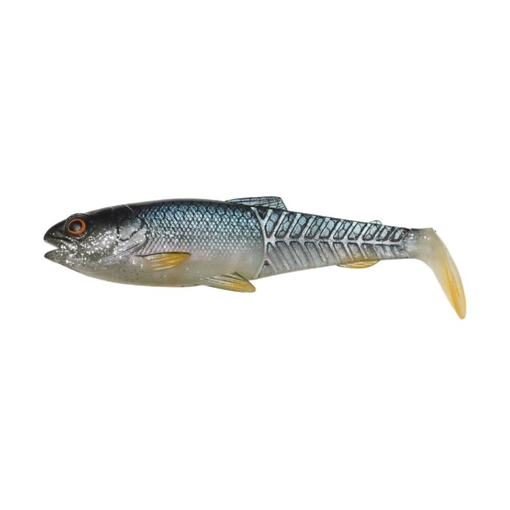 Roach