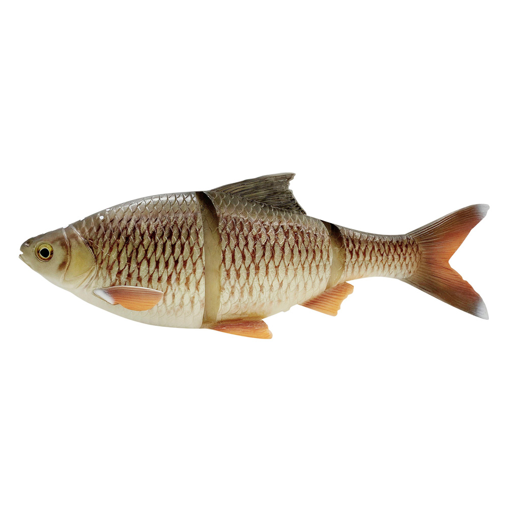 Bream