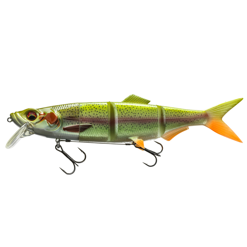 Rainbow Trout
