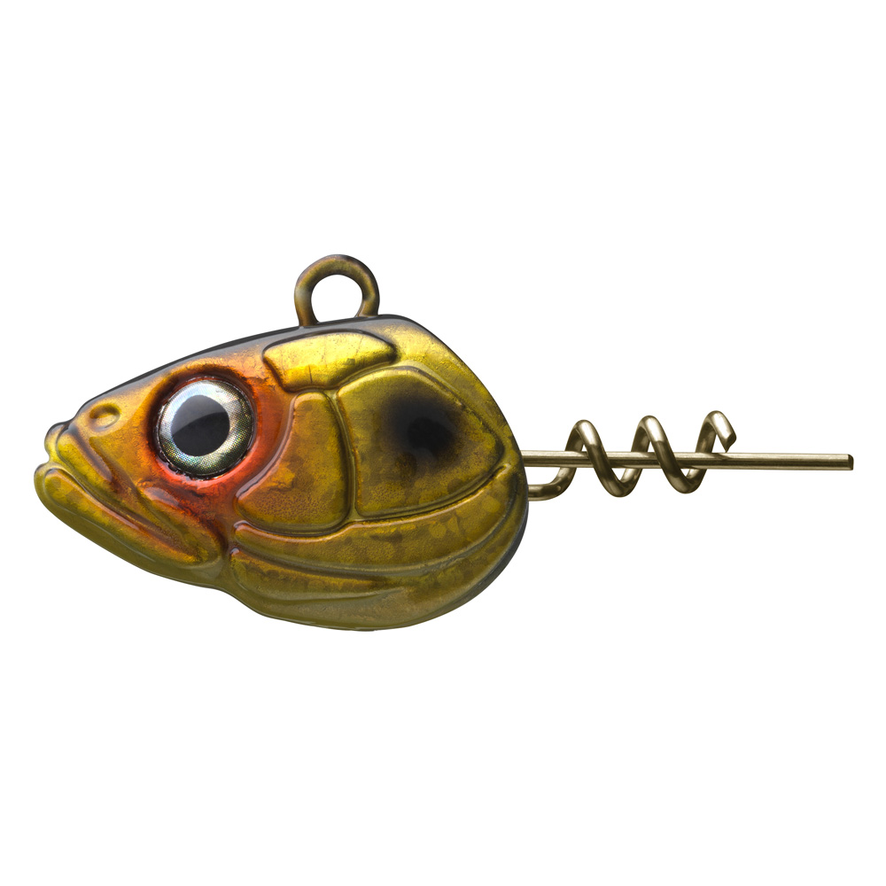 Golden Shiner
