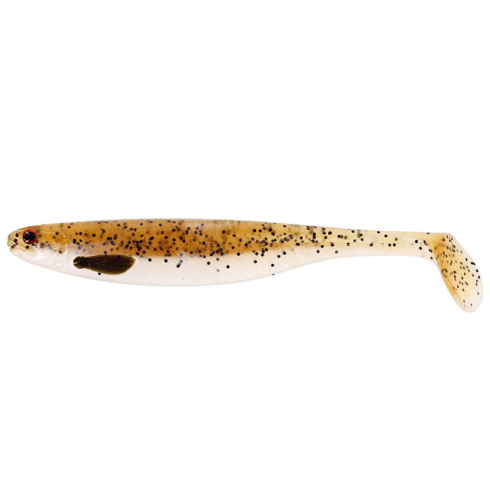 Baitfish