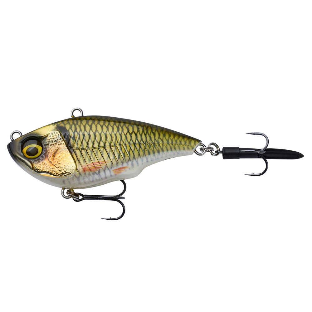 Bream