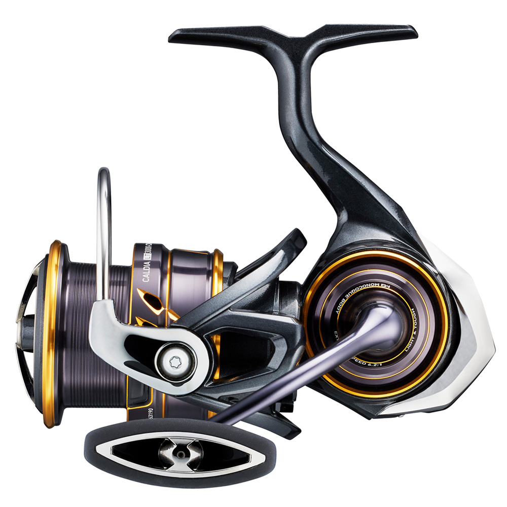 Daiwa 22 CALDIA LT Angelrolle