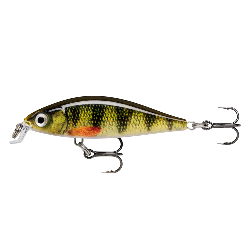 Live Perch