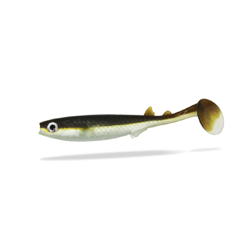 FishingGhost Renky Shad 15cm - Original Size Shad Gummifisch